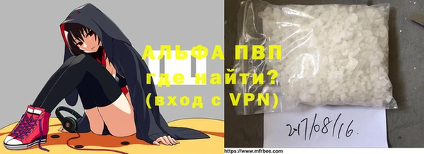 СК Гатчина