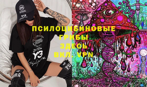 шишки Балабаново